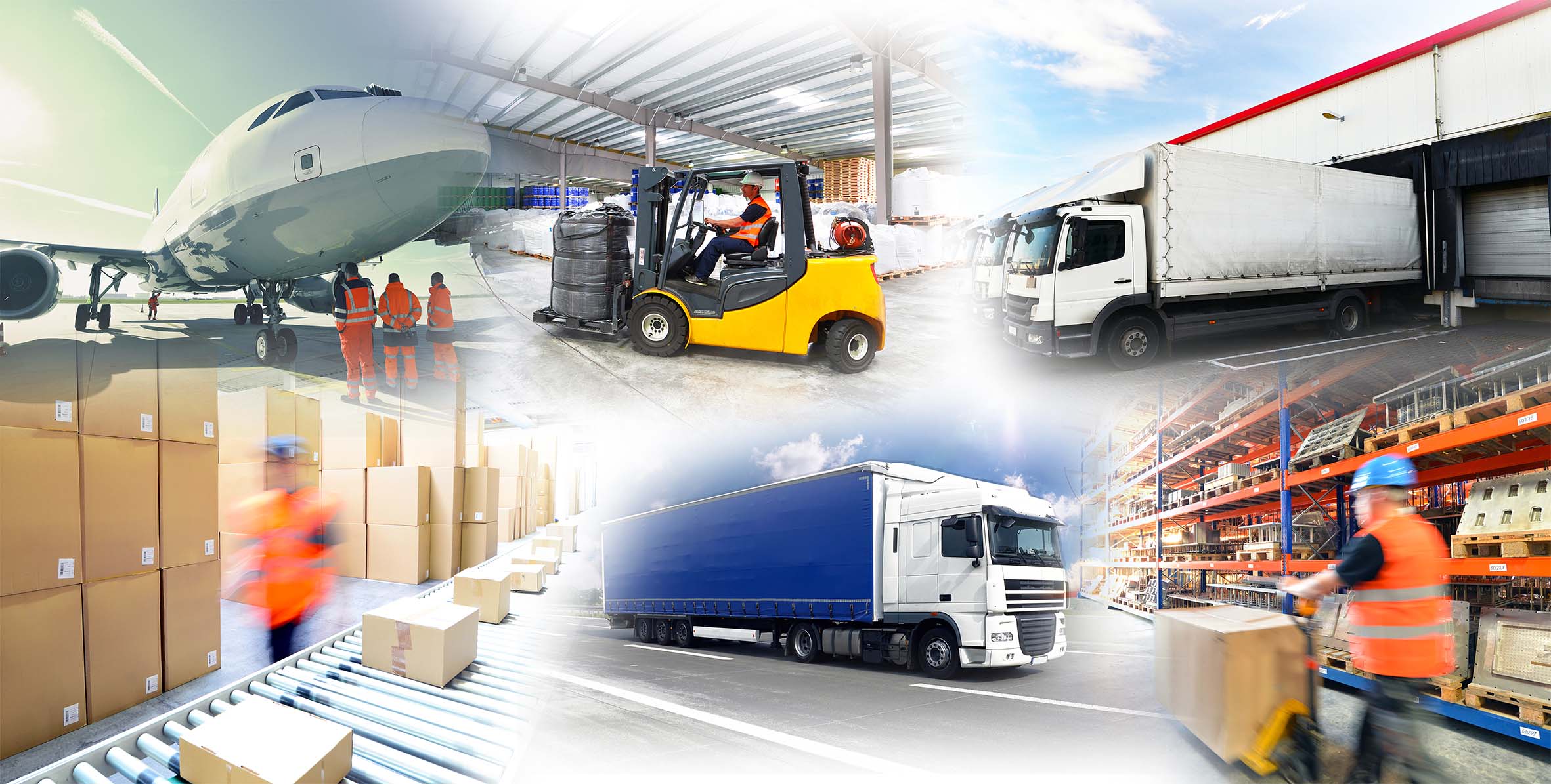 transport-logistics-specialist-training-consultancy-services